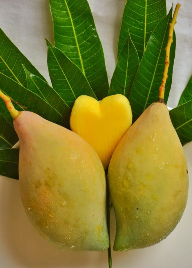 Fresh2Doorstep Products