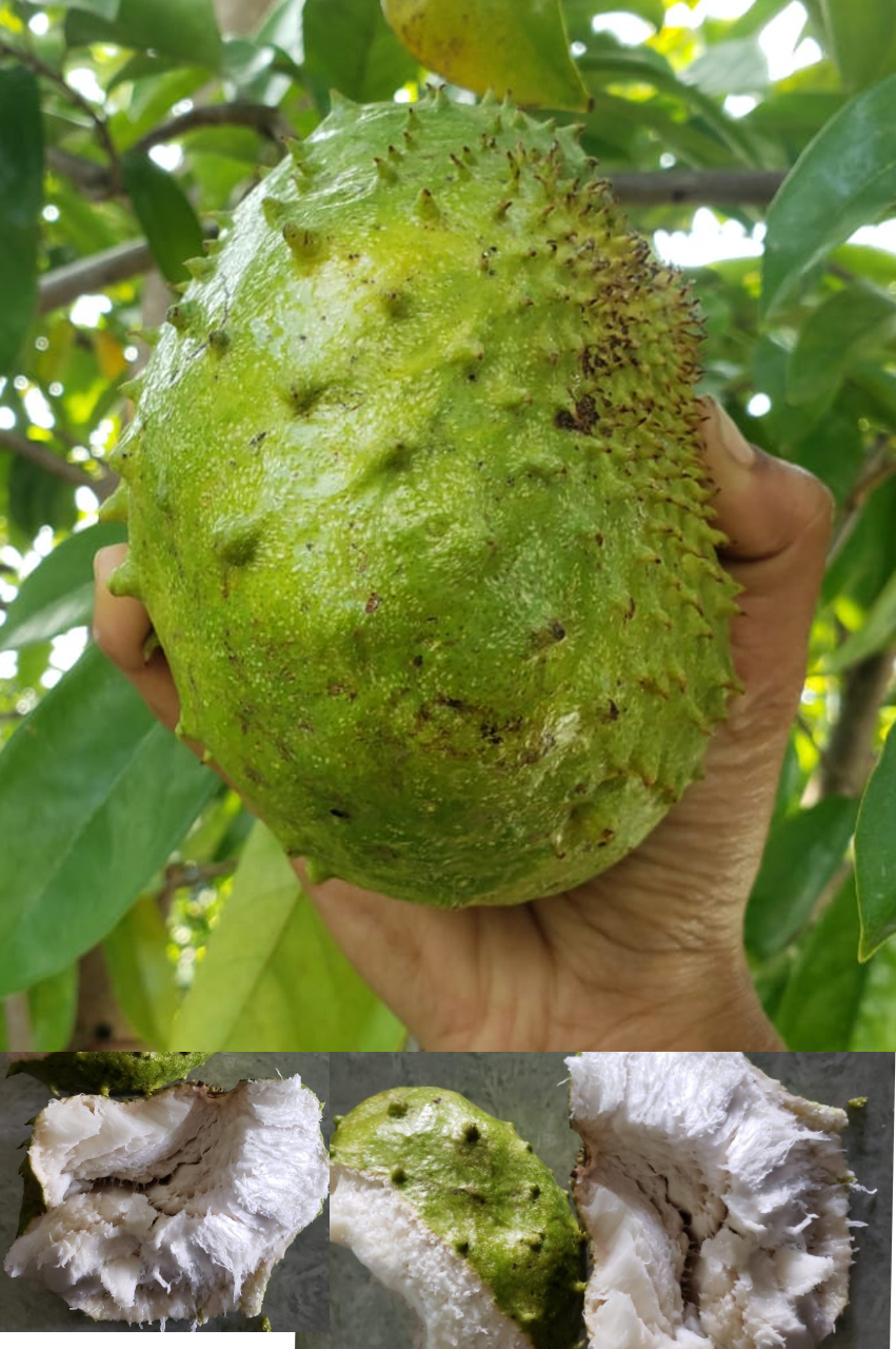 Fresh2Doorstep Products